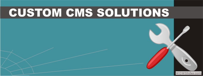 Weston IT Solutions - Content Management Systems