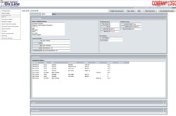 on-line accounting system. Sales Ledger summary.